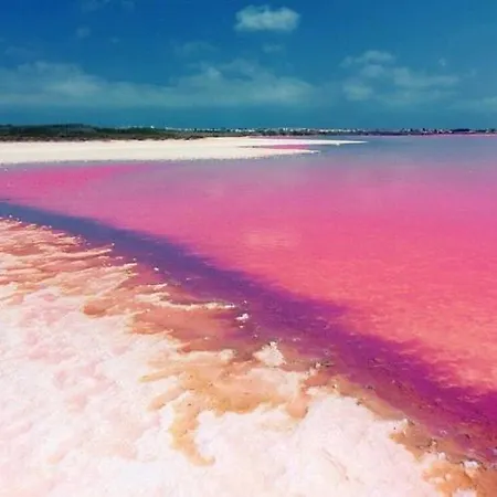 Con Encanto * Torrevieja