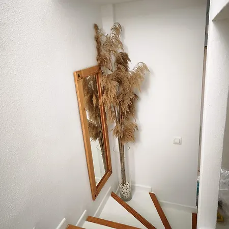 Con Encanto Apartament *